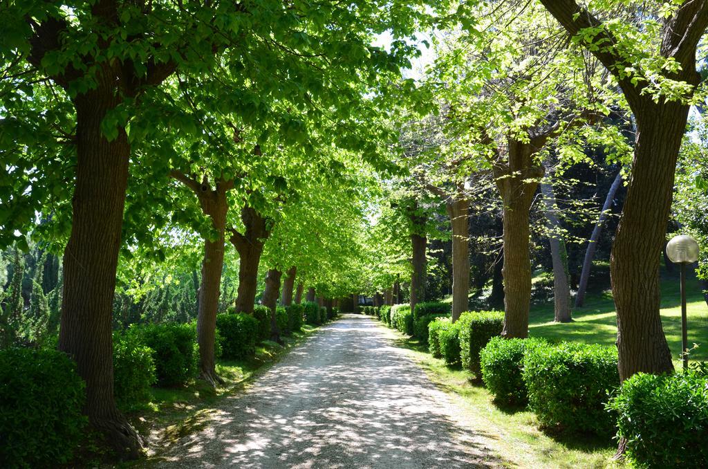 Villa Montanari Rosati Porto San Giorgio Esterno foto